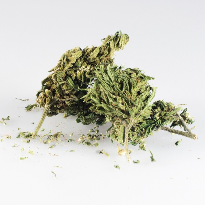 marihuana-cbd