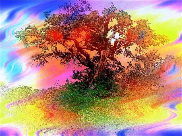 trees-83487__480