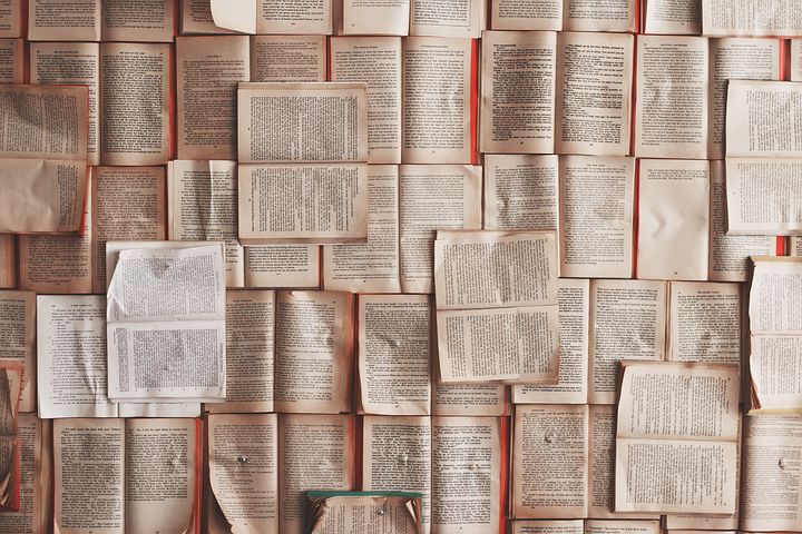 books-1245690__480