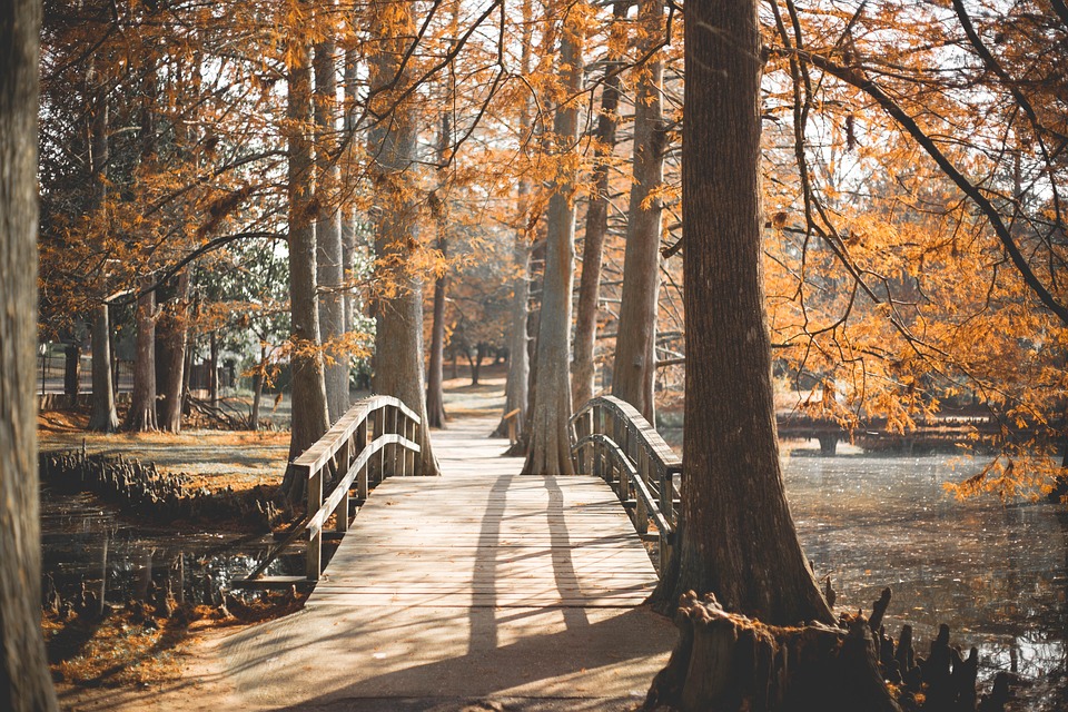 bridge-3013297_960_720
