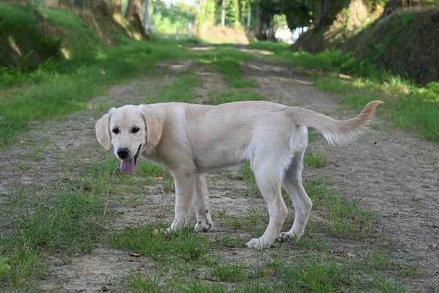 Jak wybrać sale konferencyjne na prezentację – kryteria, wyposażenie, lokalizacja